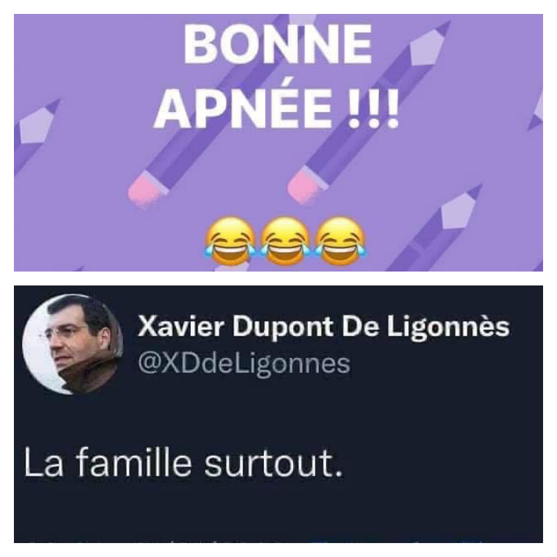 La MilleFa.png