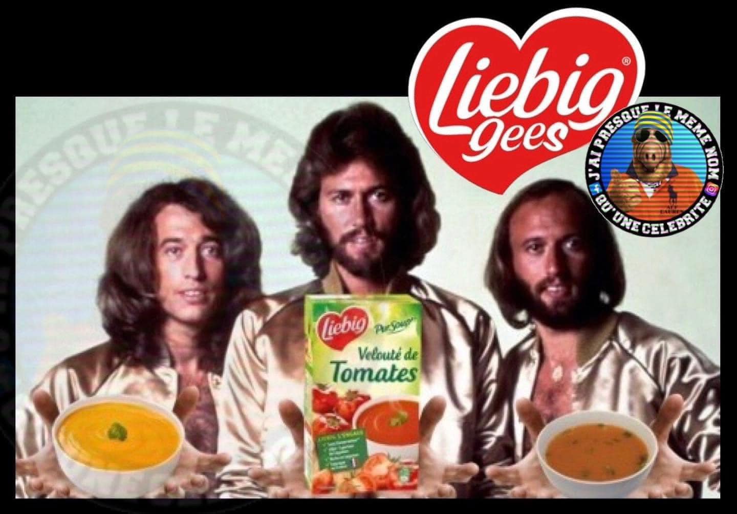 LiebigGees.jpg