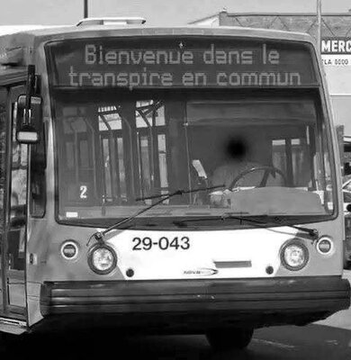 transpire.jpg